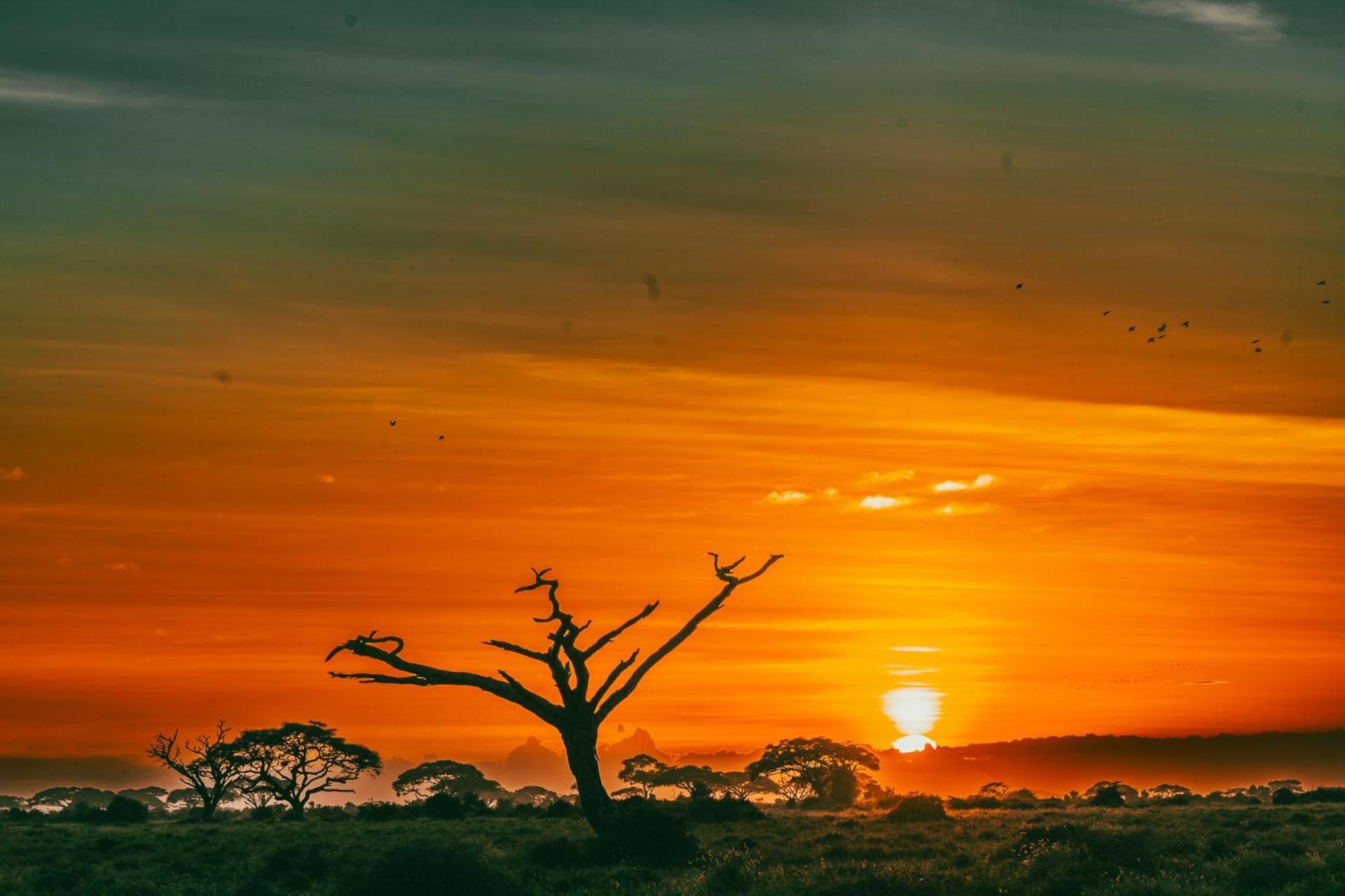 Amboseli Glass House Oloitokitok Kültér fotó