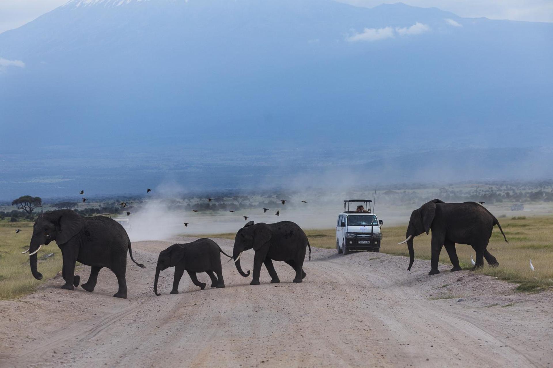 Amboseli Glass House Oloitokitok Kültér fotó